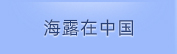 CA88在中国