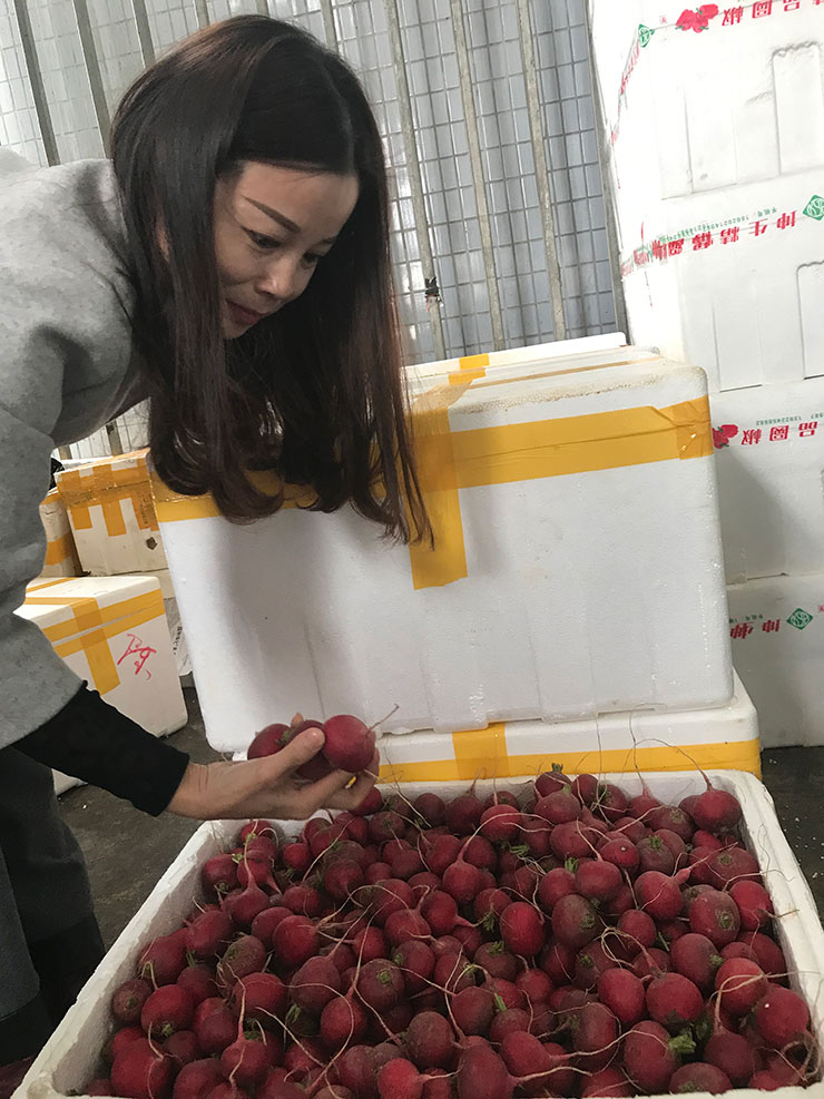 首页| CA88集团中国唯一官方网站