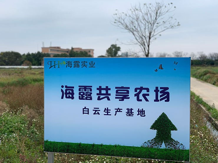 首页| CA88集团中国唯一官方网站