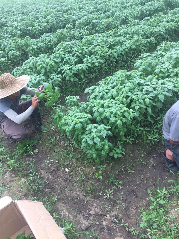 首页| CA88集团中国唯一官方网站