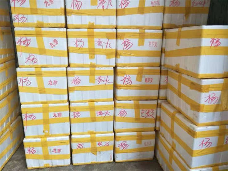 首页| CA88集团中国唯一官方网站