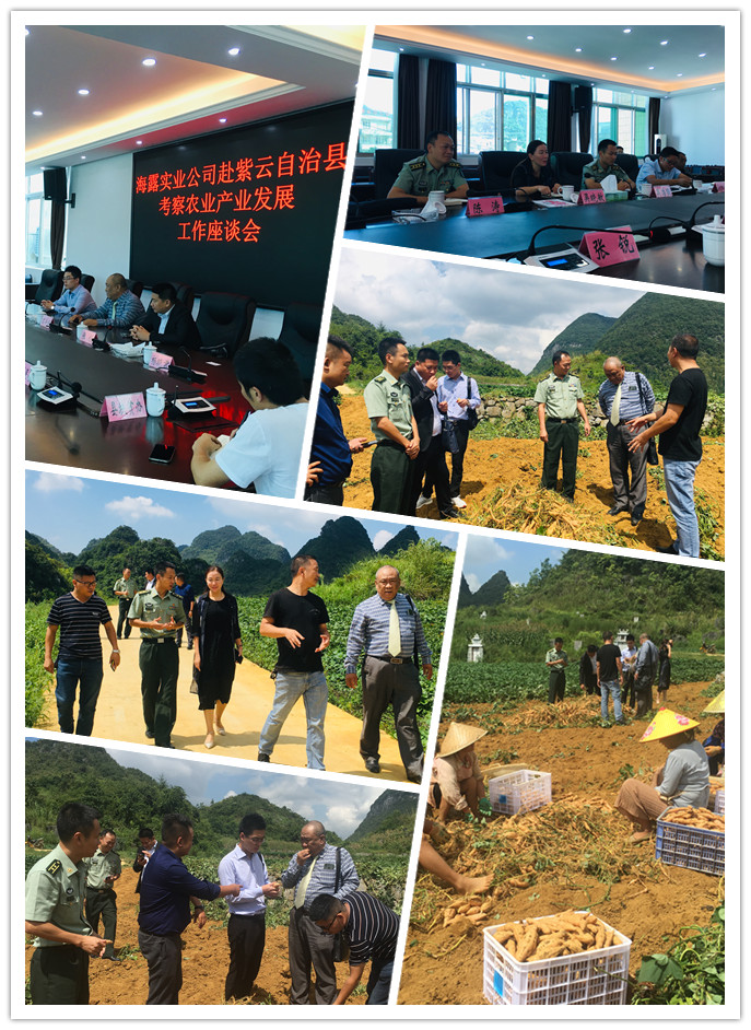 首页| CA88集团中国唯一官方网站