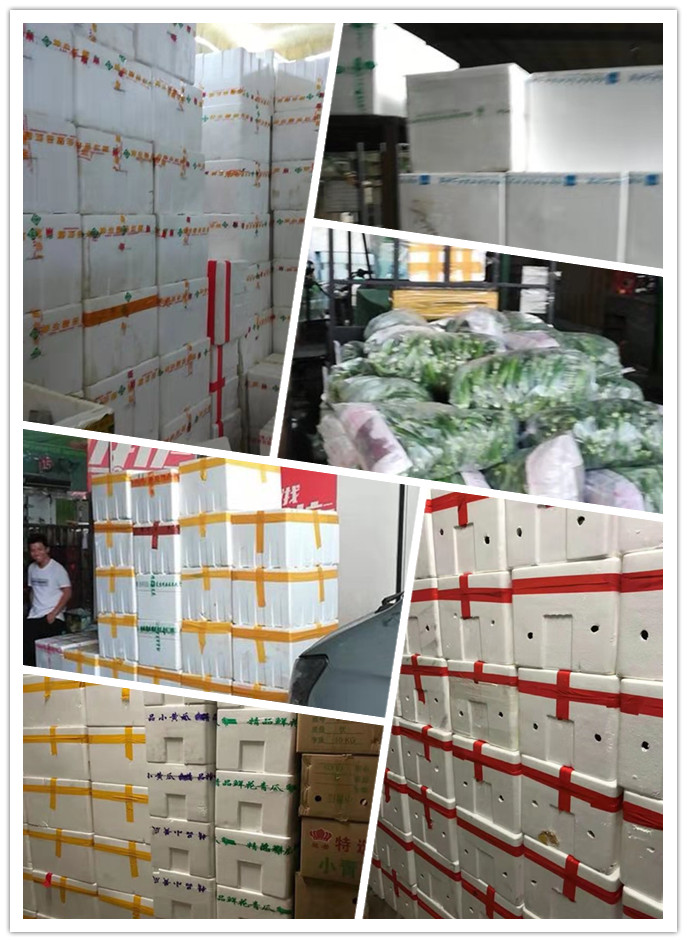 首页| CA88集团中国唯一官方网站