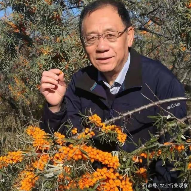 首页| CA88集团中国唯一官方网站