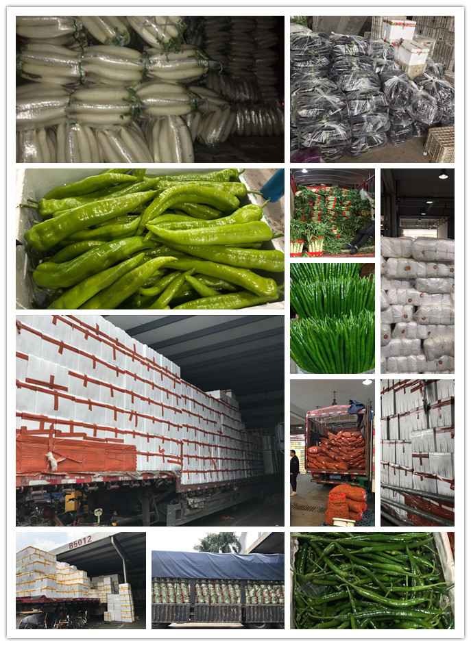 首页| CA88集团中国唯一官方网站