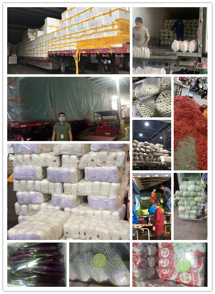 首页| CA88集团中国唯一官方网站
