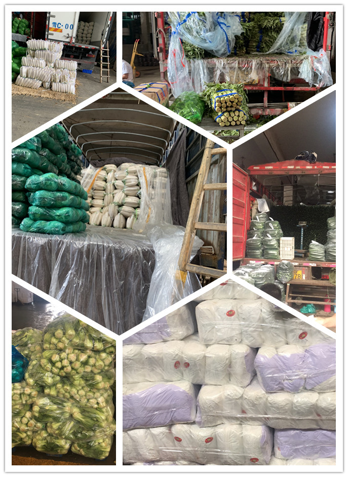 首页| CA88集团中国唯一官方网站