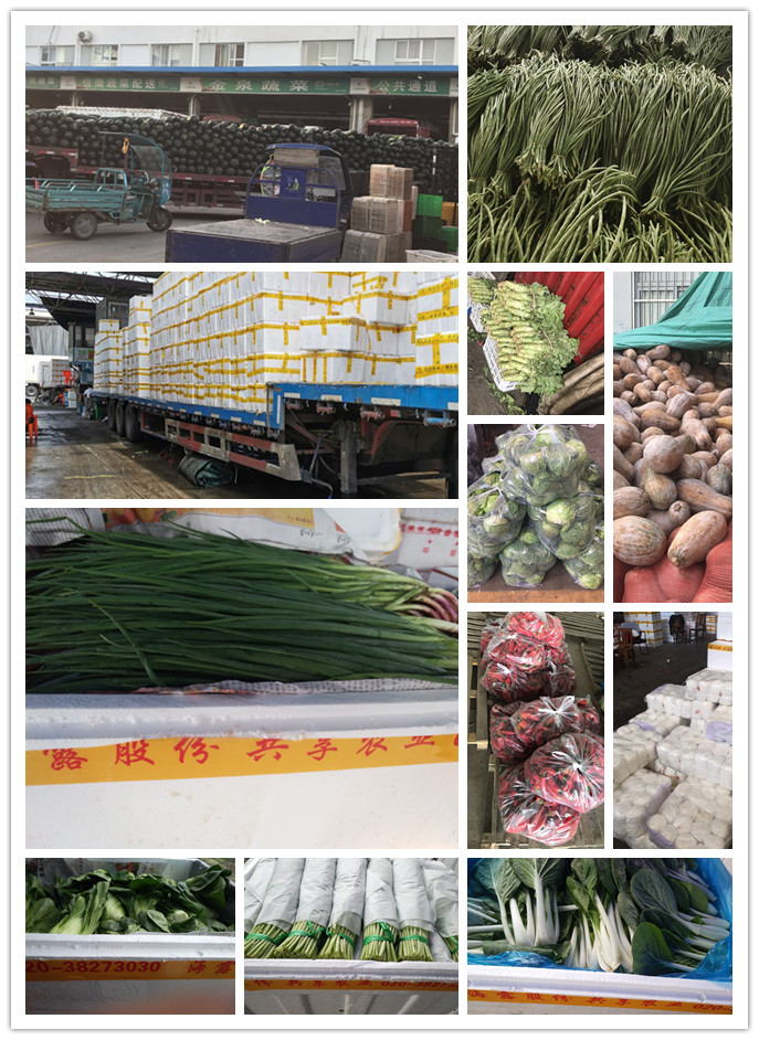 首页| CA88集团中国唯一官方网站