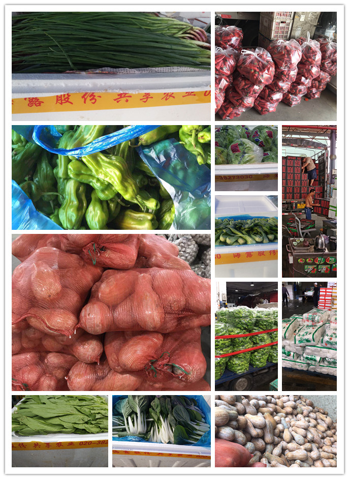 首页| CA88集团中国唯一官方网站