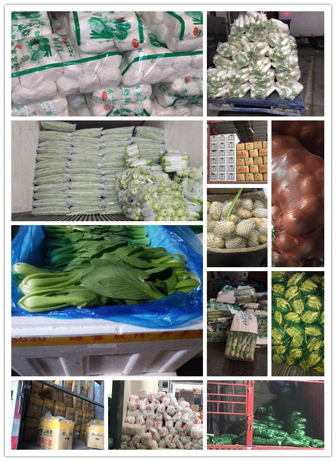 首页| CA88集团中国唯一官方网站