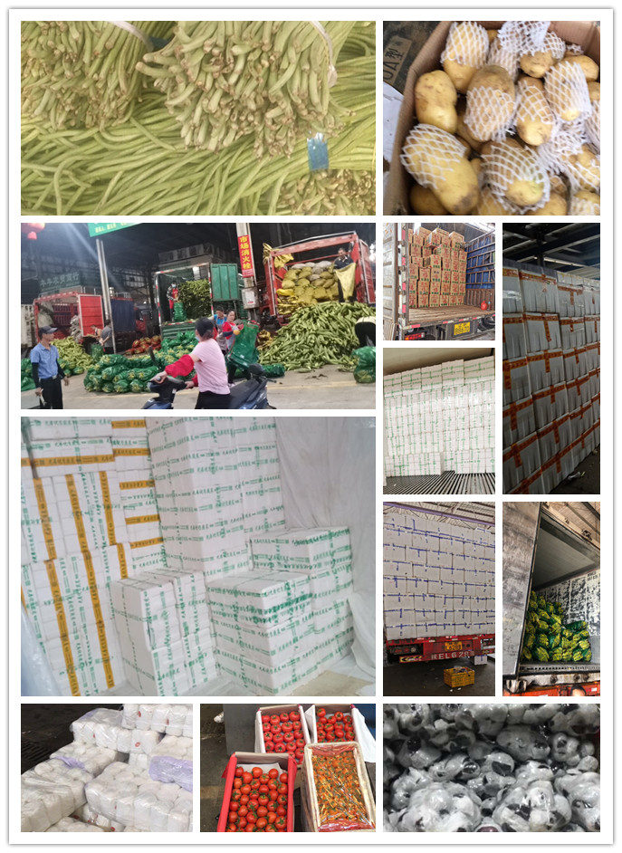 首页| CA88集团中国唯一官方网站