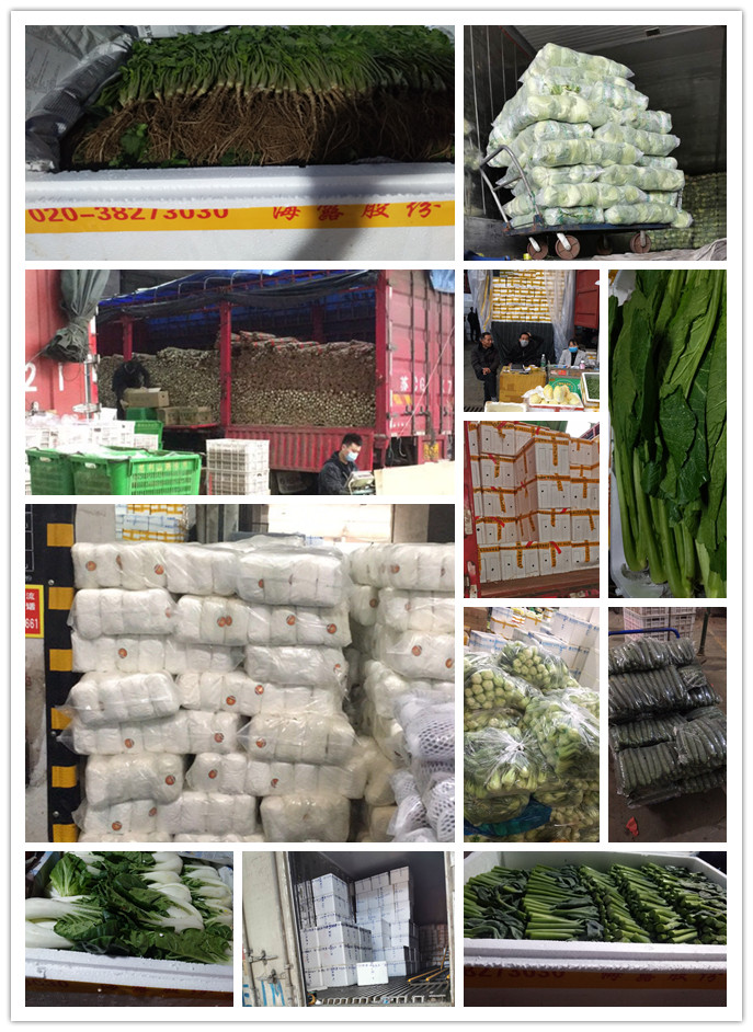 首页| CA88集团中国唯一官方网站