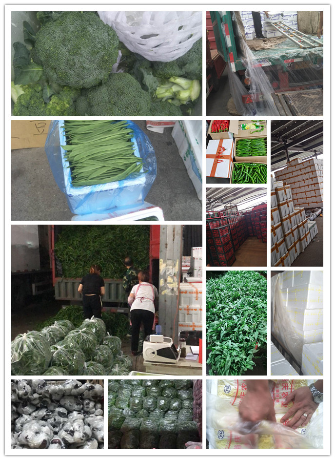 首页| CA88集团中国唯一官方网站
