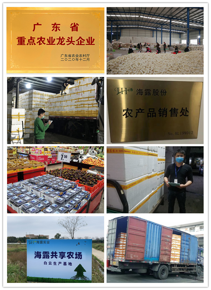 首页| CA88集团中国唯一官方网站