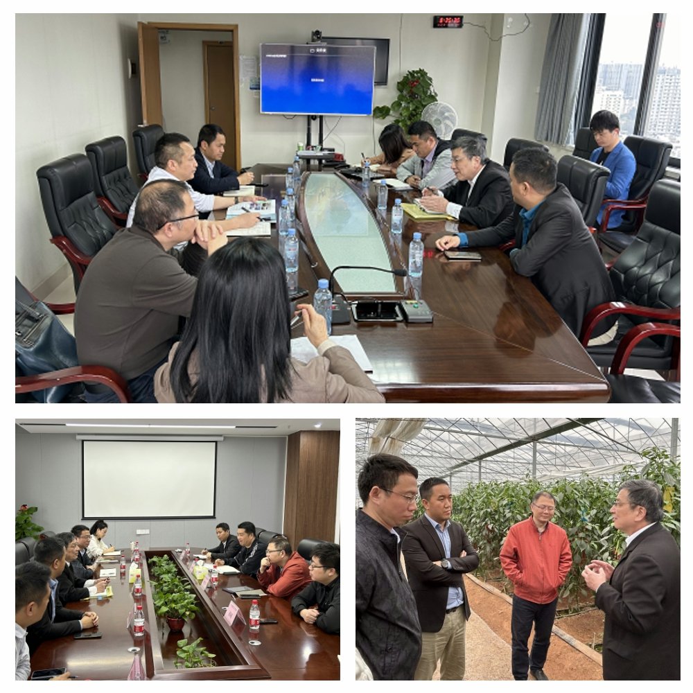 首页| CA88集团中国唯一官方网站