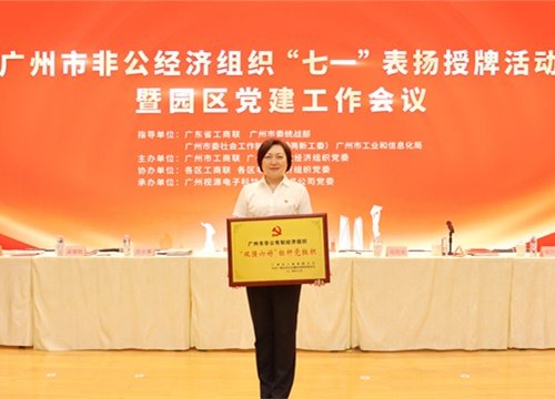 标杆引领，荣誉升级！集团党支部荣膺广州市非公有造经济组织“双强六好”标