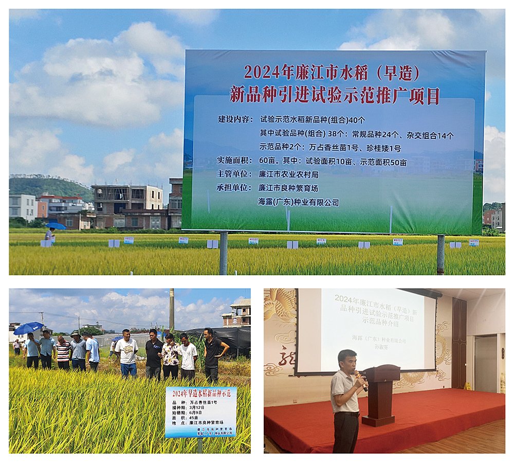 首页| CA88集团中国唯一官方网站