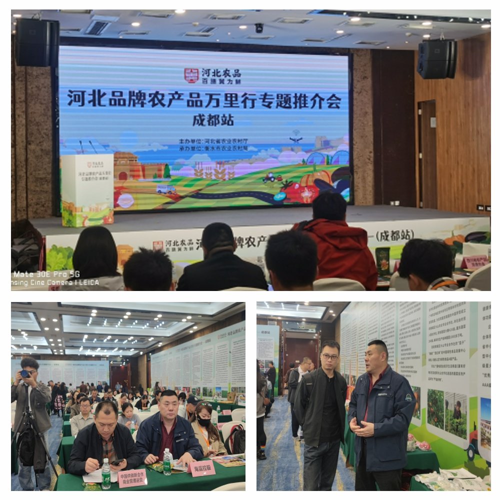 首页| CA88集团中国唯一官方网站
