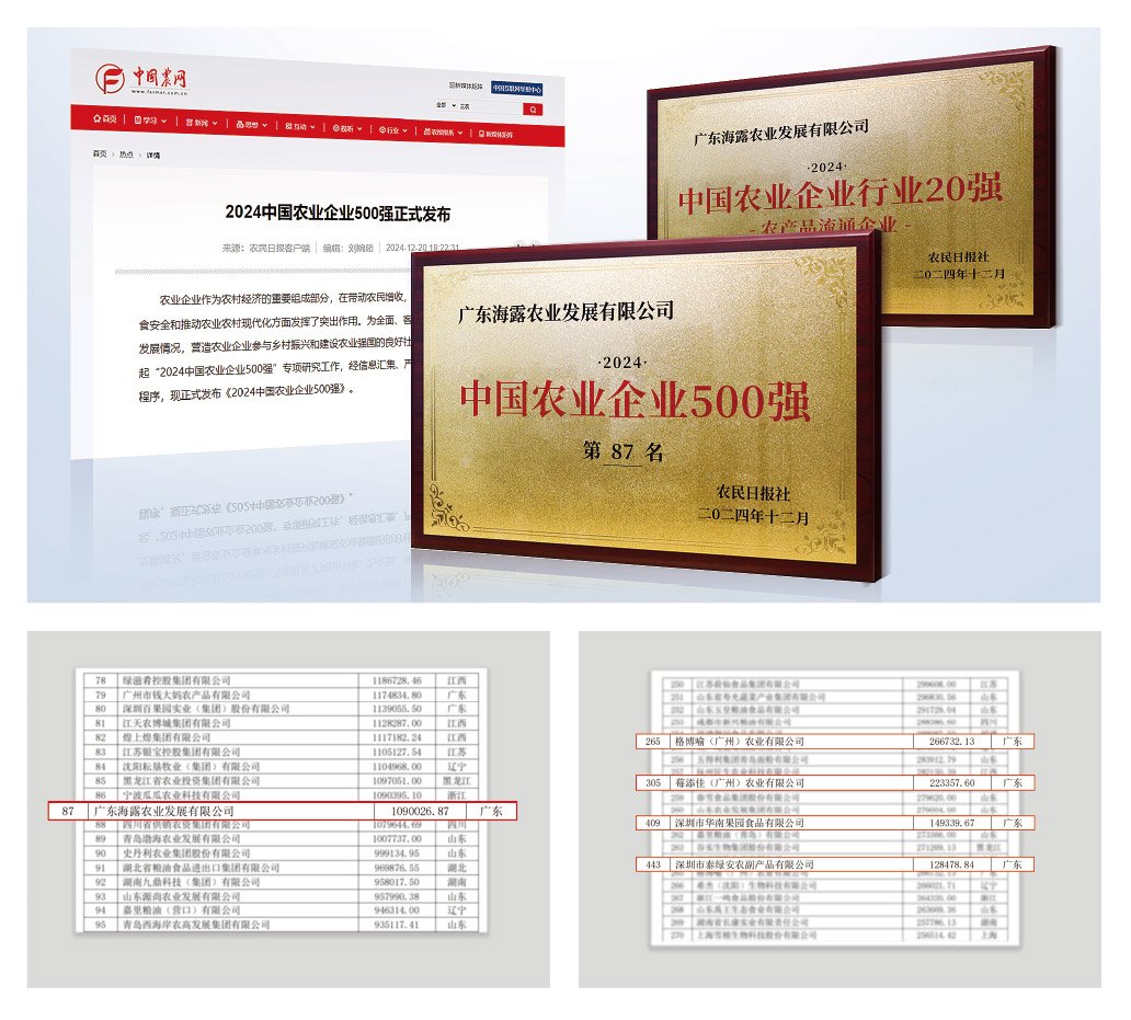 1-2412240943523B 首页| CA88集团中国唯一官方网站