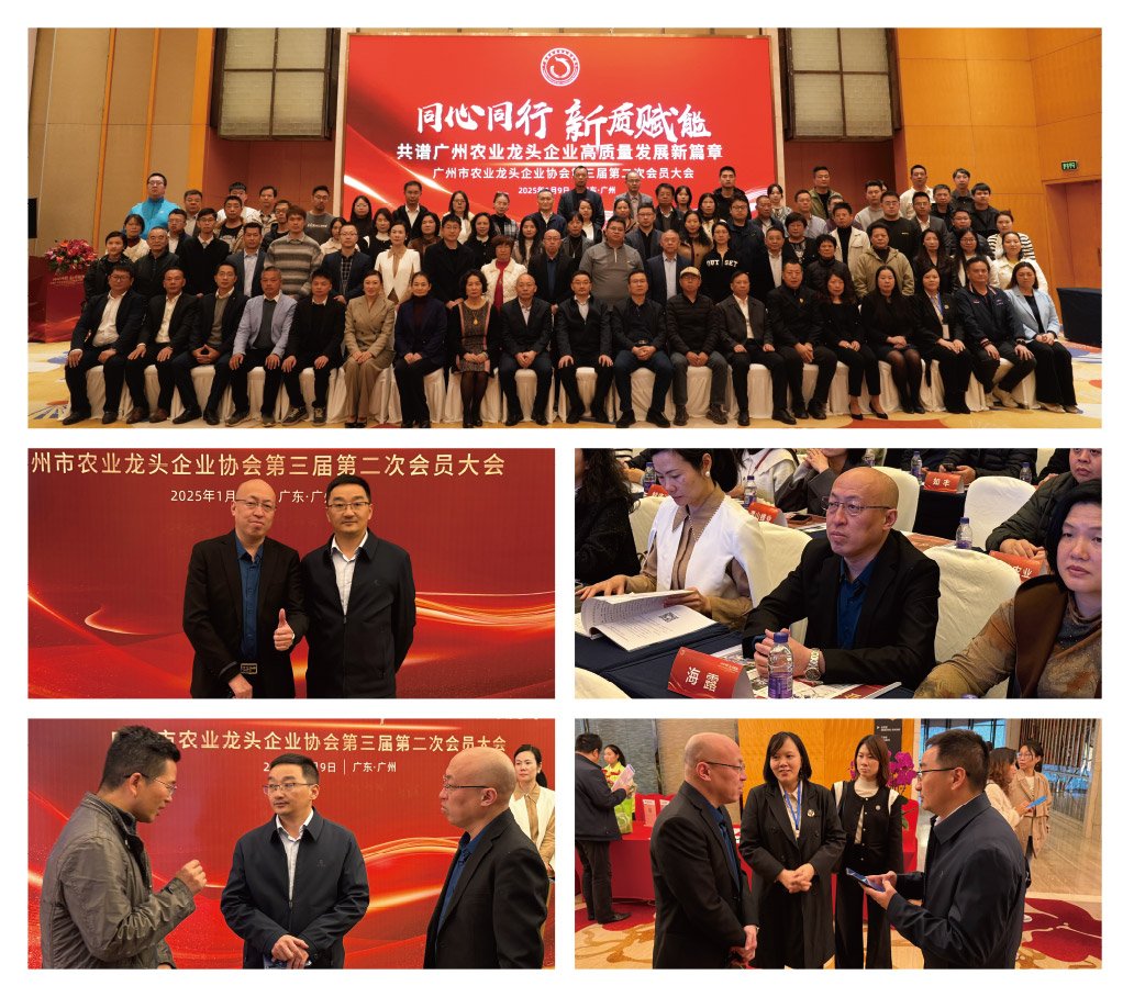 首页| CA88集团中国唯一官方网站