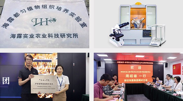 首页| CA88集团中国唯一官方网站
