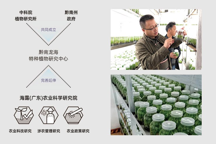 首页| CA88集团中国唯一官方网站