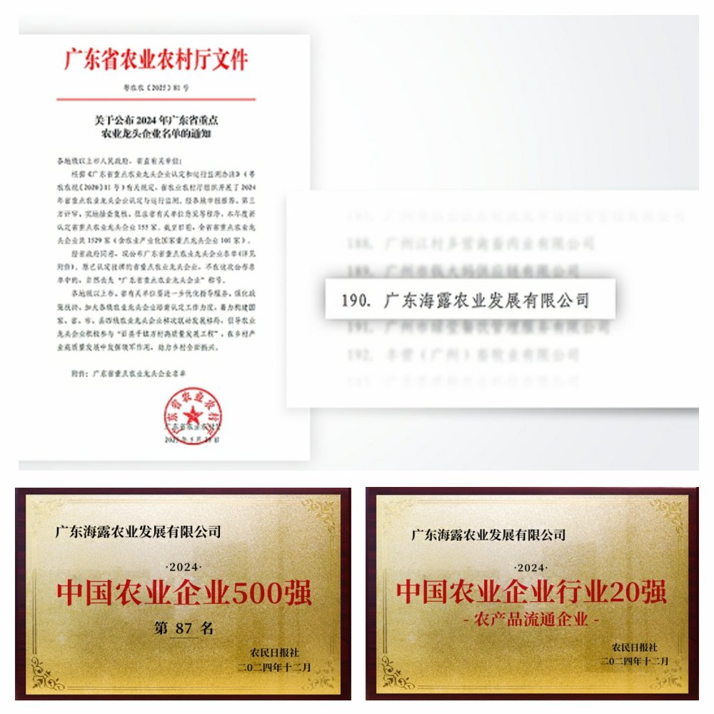 1-2506051411103H 首页| CA88集团中国唯一官方网站