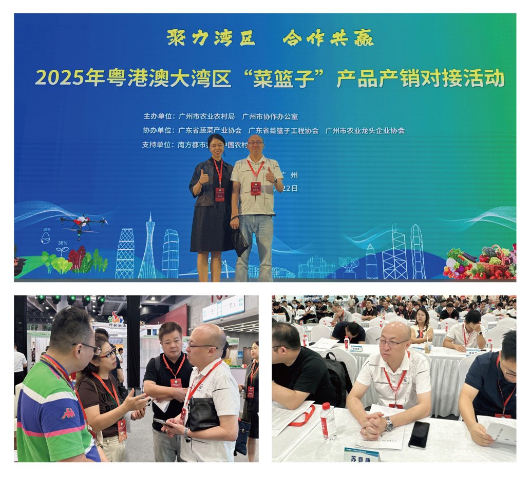 首页| CA88集团中国唯一官方网站