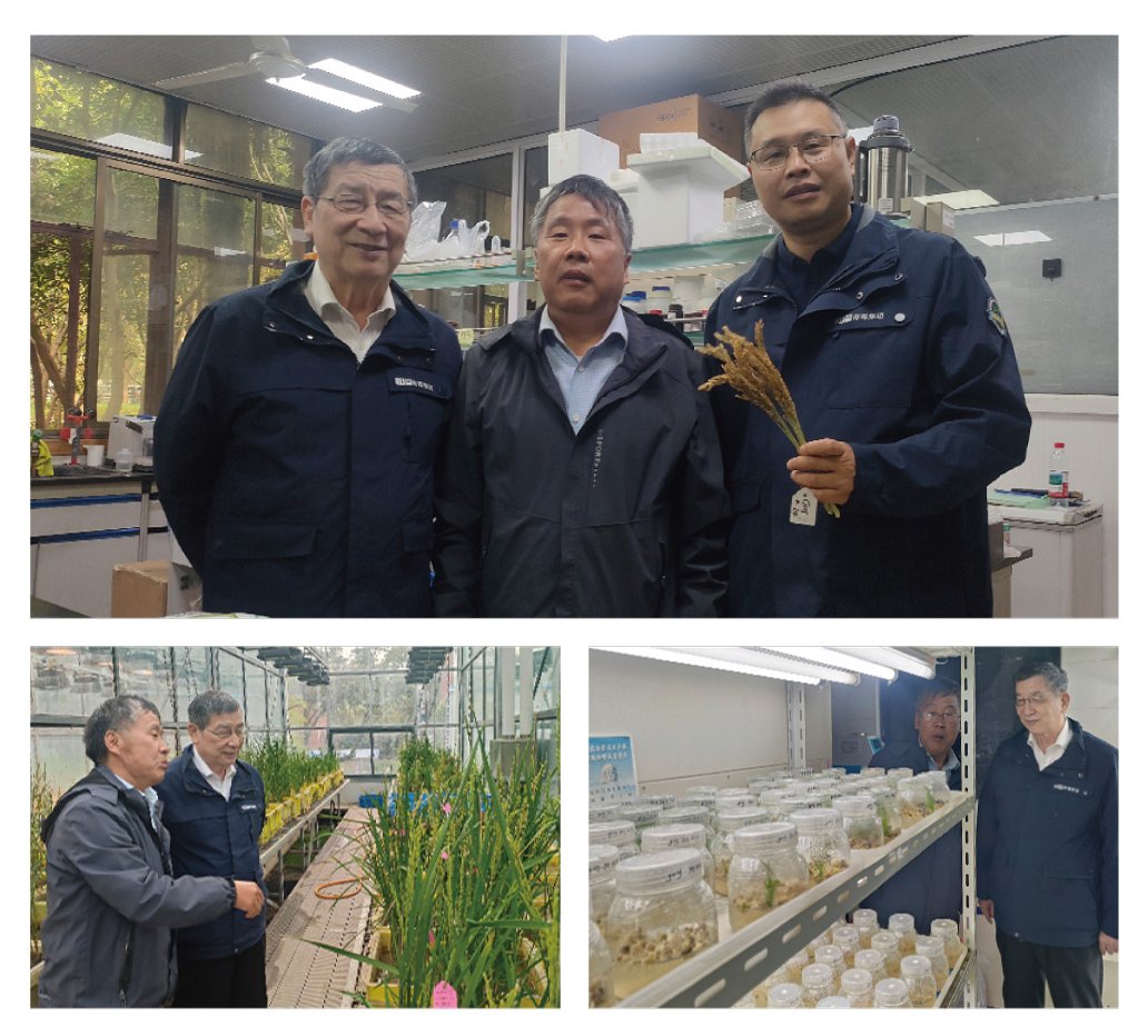 首页| CA88集团中国唯一官方网站