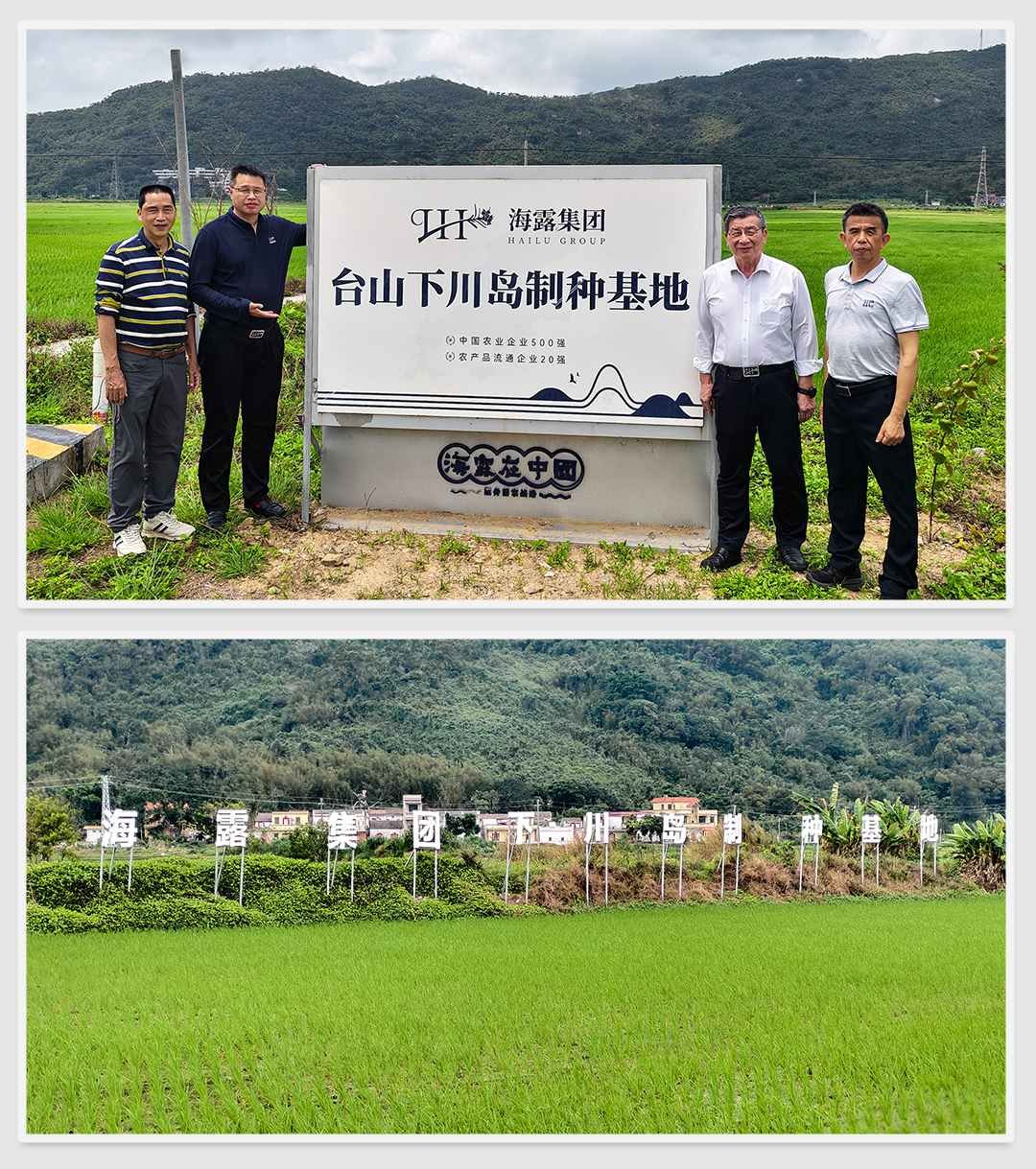 首页| CA88集团中国唯一官方网站